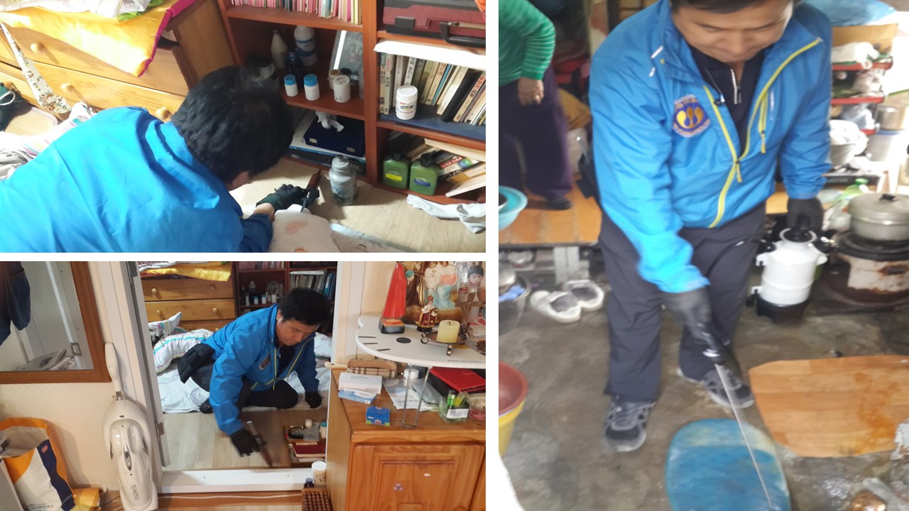 2016년 1차 방역 서비스